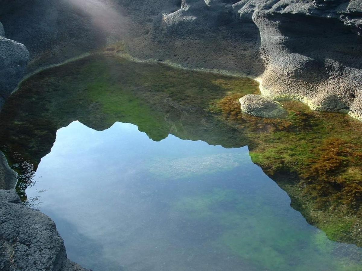 Carpe Diem Azores موستيروس المظهر الخارجي الصورة